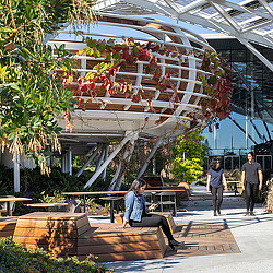 A person sitting on a bench under a glass roof.