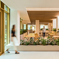22 Bayard walkway with biophilia